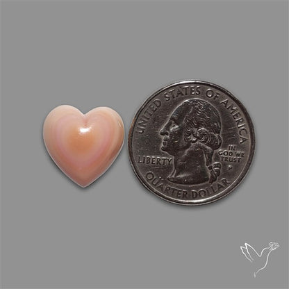 Pink Conch Shell Heart Cabochon