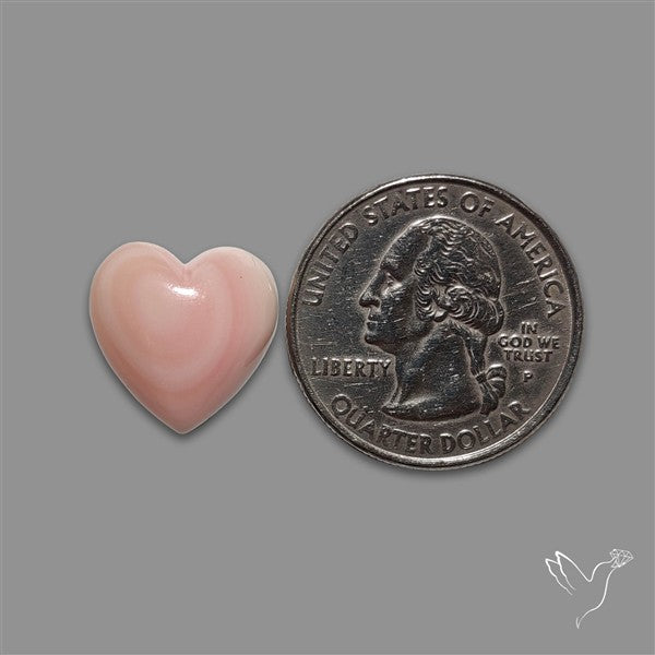 Pink Conch Shell Heart Cabochon