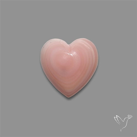 Pink Conch Shell Heart Cabochon