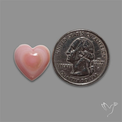 Pink Conch Shell Heart Cabochon