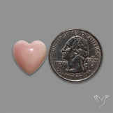 Pink Conch Shell Heart Cabochon