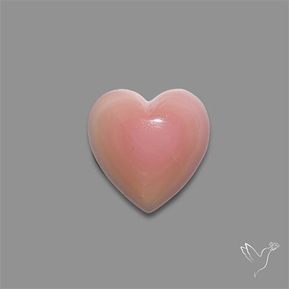 Pink Conch Shell Heart Cabochon
