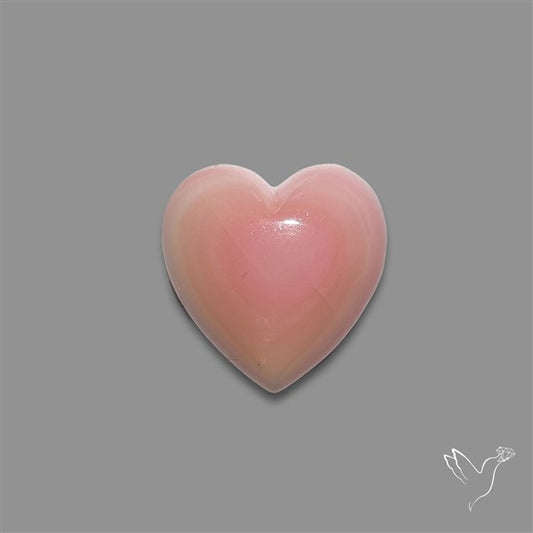 Pink Conch Shell Heart Cabochon