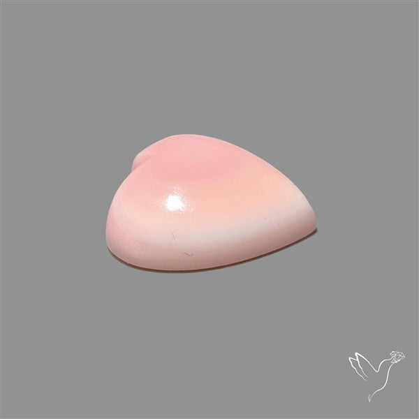 Pink Conch Shell Heart Cabochon
