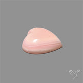 Pink Conch Shell Heart Cabochon