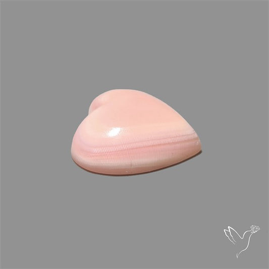 Pink Conch Shell Heart Cabochon