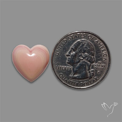 Pink Conch Shell Heart Cabochon