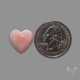 Pink Conch Shell Heart Cabochon