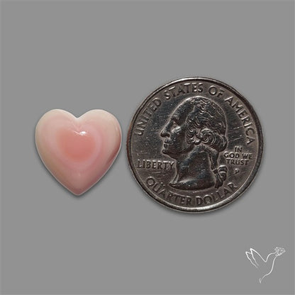 Pink Conch Shell Heart Cabochon