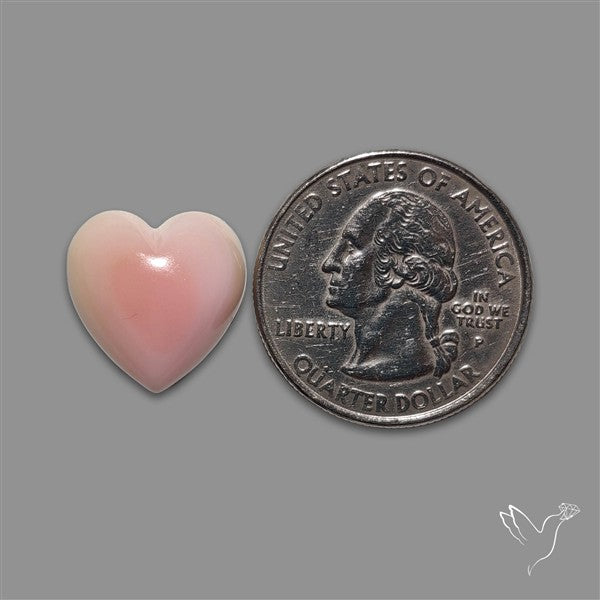 Pink Conch Shell Heart Cabochon