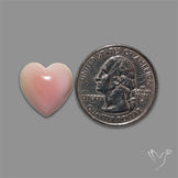 Pink Conch Shell Heart Cabochon