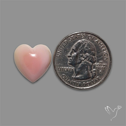 Pink Conch Shell Heart Cabochon