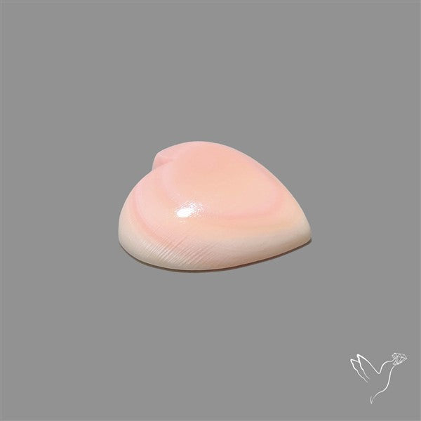 Pink Conch Shell Heart Cabochon