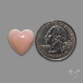 Pink Conch Shell Heart Cabochon