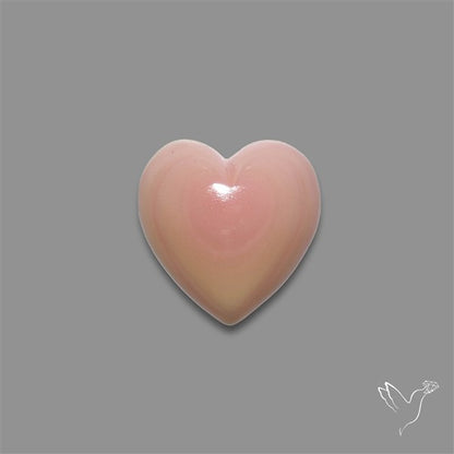 Pink Conch Shell Heart Cabochon