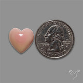 Pink Conch Shell Heart Cabochon