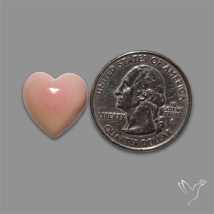 Pink Conch Shell Heart Cabochon
