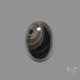 Tuxedo Agate Banded Agate Cabochon