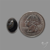 Tuxedo Agate Banded Agate Cabochon