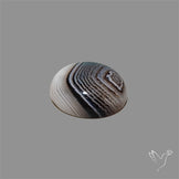 Tuxedo Agate Banded Agate Cabochon