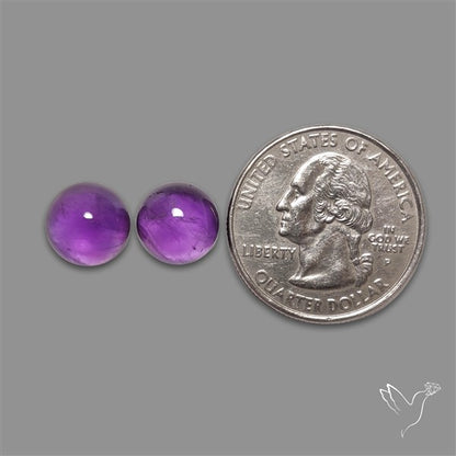 Gemmy Amethyst Pair