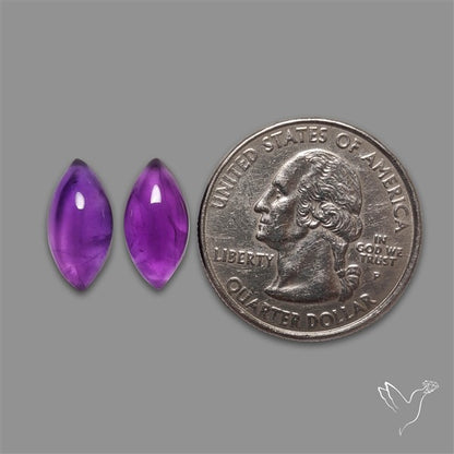 Gemmy Amethyst Pair
