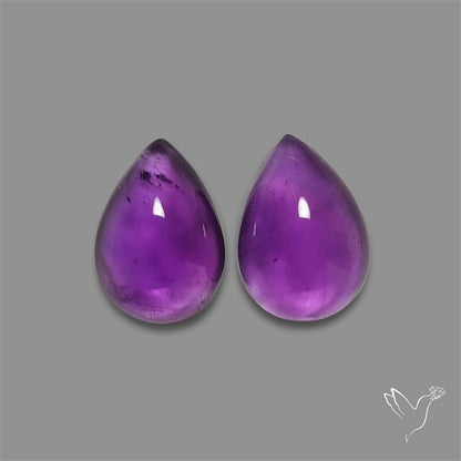 Gemmy Amethyst Pair