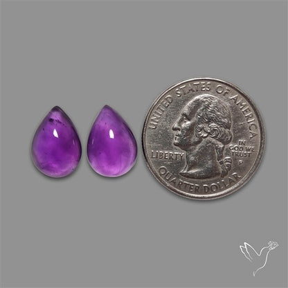 Gemmy Amethyst Pair