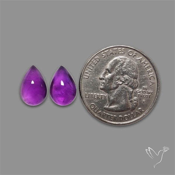 Gemmy Amethyst Pair