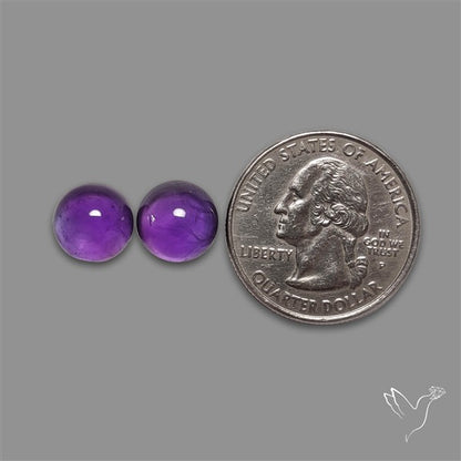 Gemmy Amethyst Pair