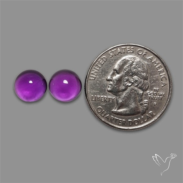 Gemmy Amethyst Pair