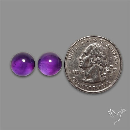 Gemmy Amethyst Pair