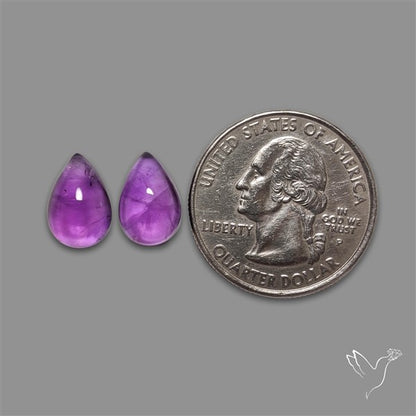 Gemmy Amethyst Pair