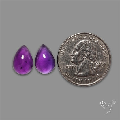 Gemmy Amethyst Pair
