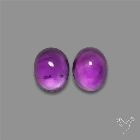 Gemmy Amethyst Pair