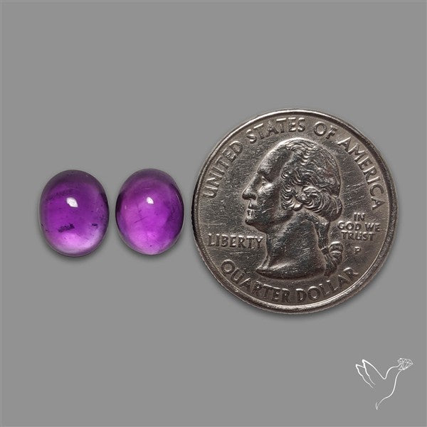 Gemmy Amethyst Pair