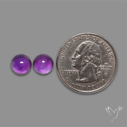 Gemmy Amethyst Pair