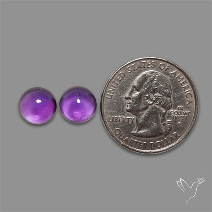 Gemmy Amethyst Pair