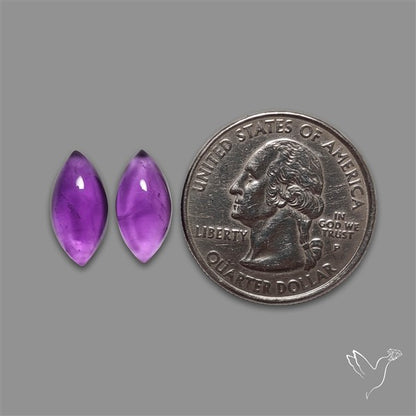 Gemmy Amethyst Pair