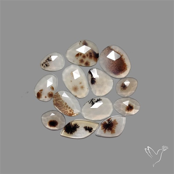 Rose Cut Scenic Agate Lot