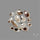 Rose Cut Scenic Agate Lot