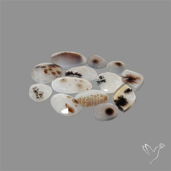 Rose Cut Scenic Agate Lot