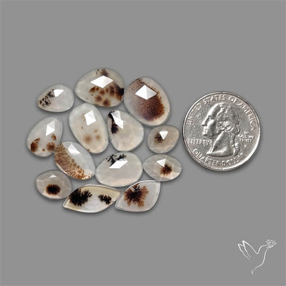 Rose Cut Scenic Agate Lot