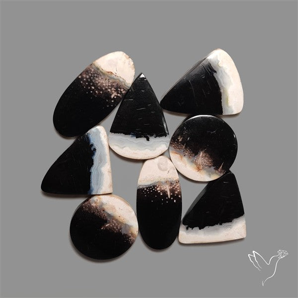Indonesian Palmrooot Agate Cabochons Lot