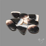 Indonesian Palmrooot Agate Cabochons Lot