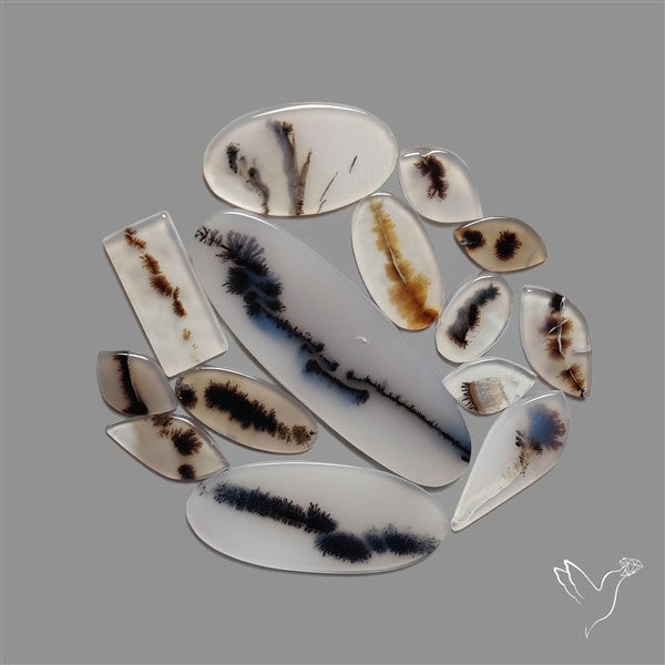 Scenic Agate Cabochons Lot