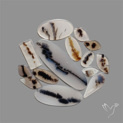 Scenic Agate Cabochons Lot