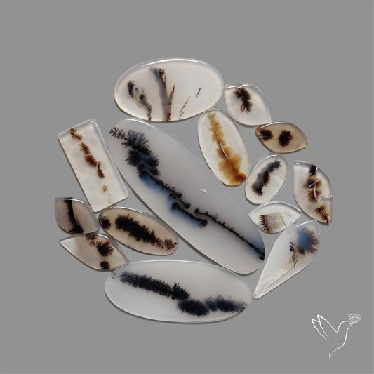 Scenic Agate Cabochons Lot
