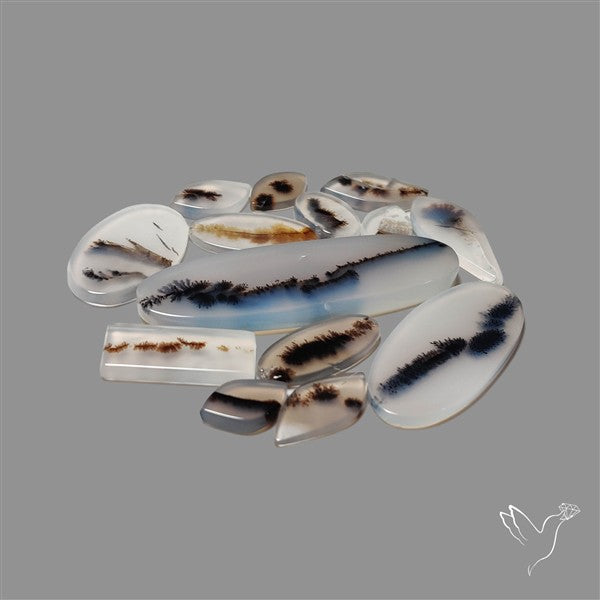 Scenic Agate Cabochons Lot