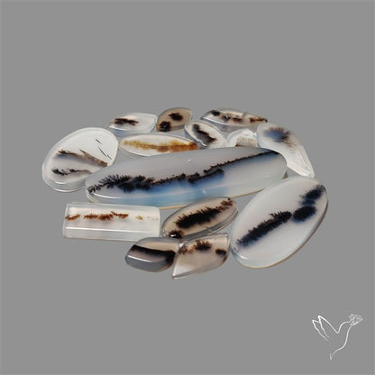 Scenic Agate Cabochons Lot